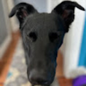 Meet your Posher, Gina